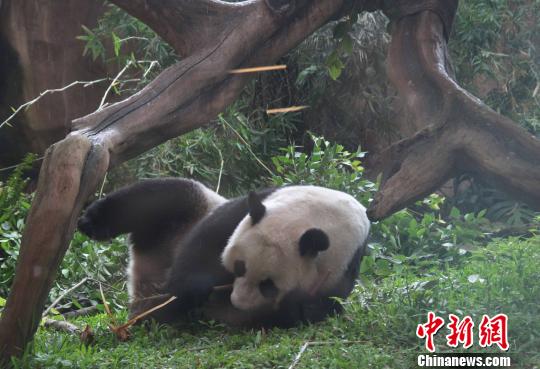 �D�顰�����������似��(c��)�L������������ �z