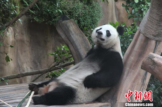 �D�顰���������ژ�����u�ȡ��������� �z