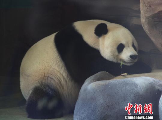 �D�顰���ա��ڴ��˯���������� �z