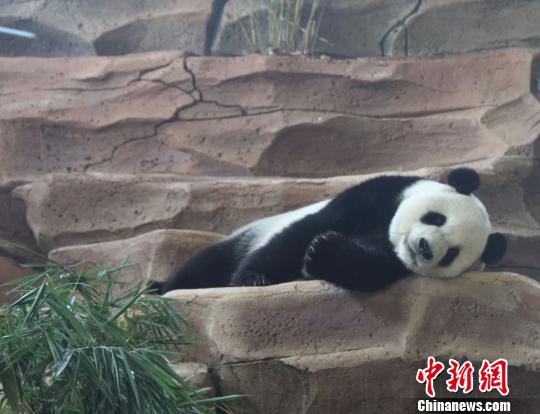 �D�鄂��ġ����ա����u�ȡ��������� �z