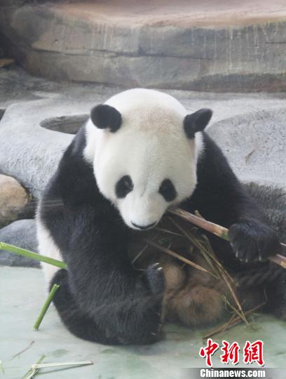 �D�顰���ա��ڳ��������������� �z