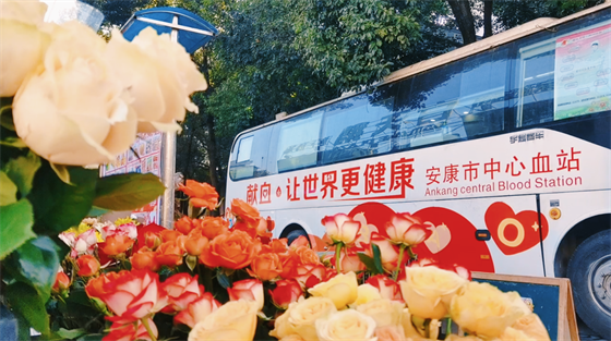 安康這三兄妹，熱血！