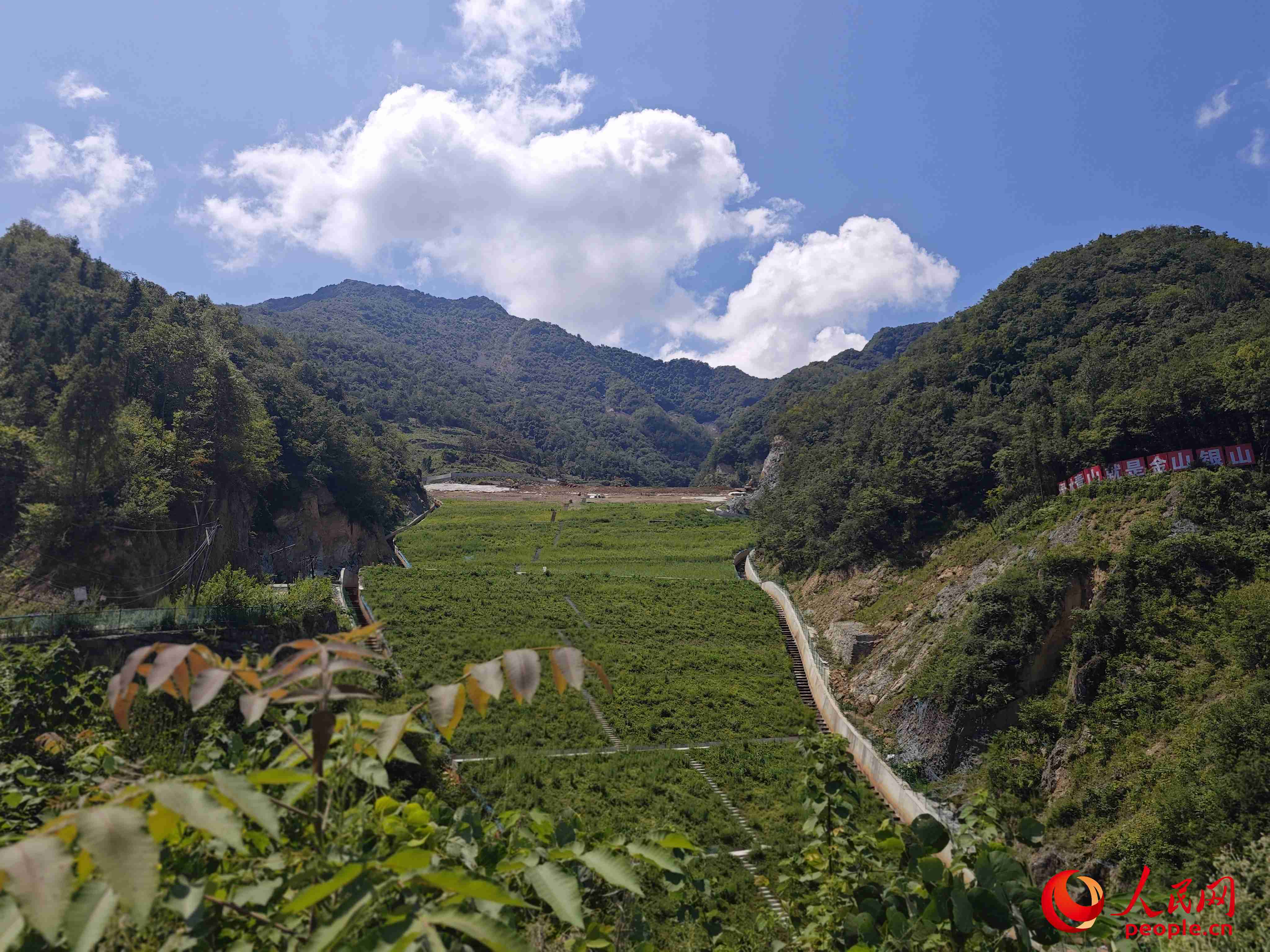 已部分復(fù)綠的貯存場。人民網(wǎng)記者 黃鈺攝