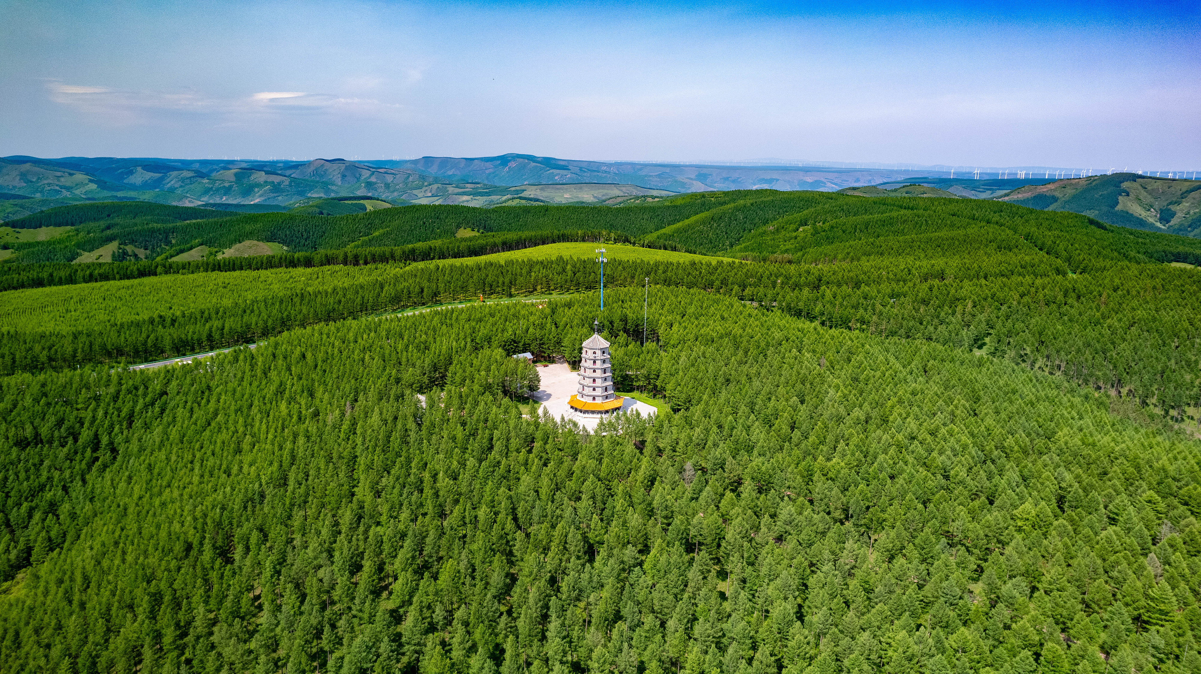 2025年6月11日，河北承德，塞罕壩林海浩渺。